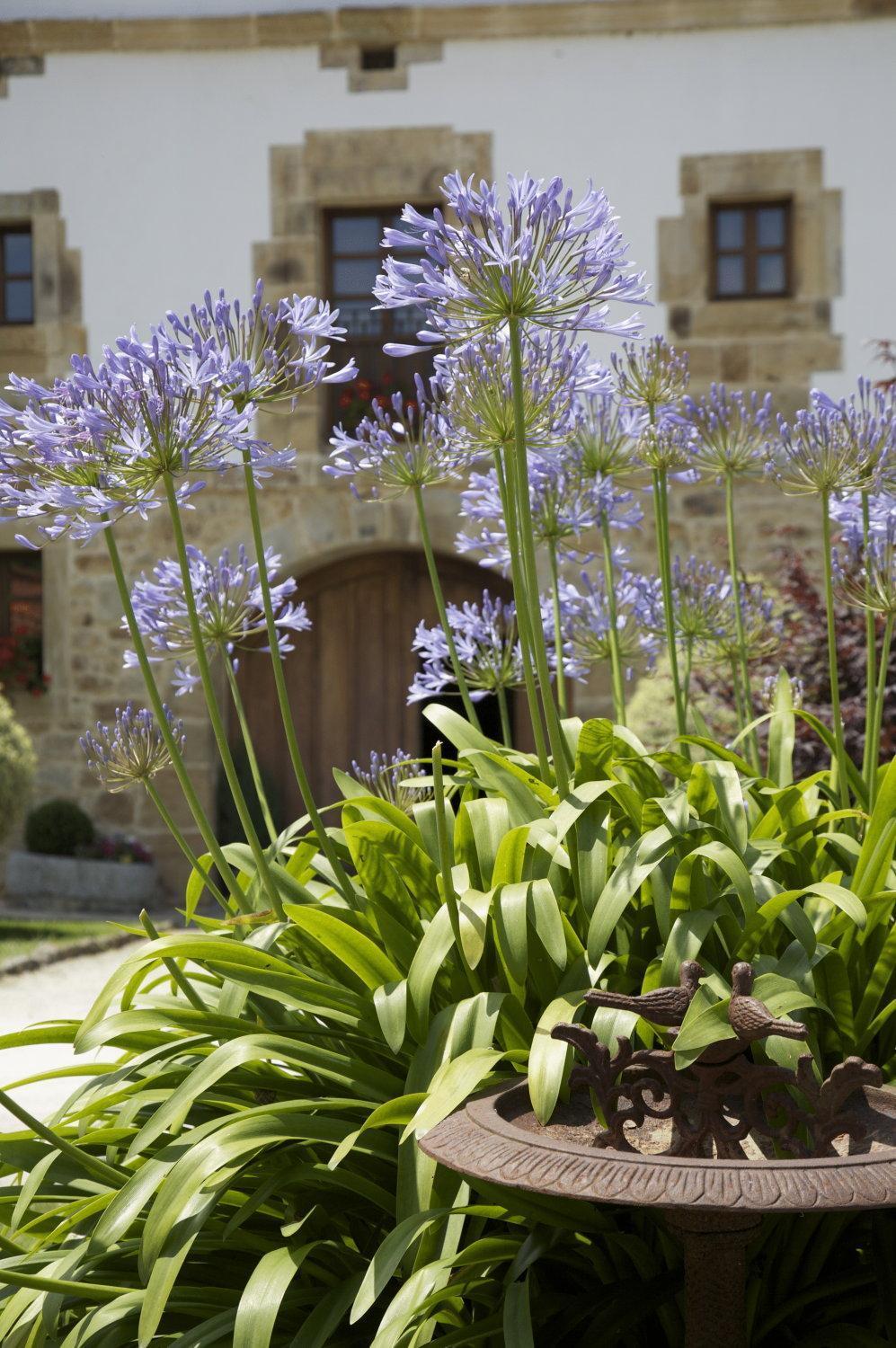 Casona De Hotel